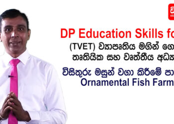 DP Education Skills For Life Ornamental Fish Farming