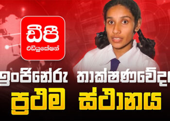 AL Tech Island First 2024