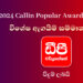 2024 Calin Popular Awards උළෙලේදී විශේෂ ඇගයීම් සම්මානයෙන් පිදුම් ලැබූ ඩීපී එඩියුකේෂන්!